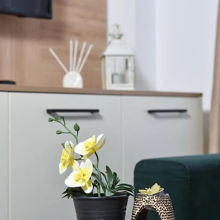 Mountainskylux Apartament